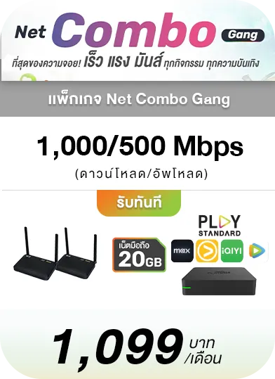 โปรโมชั่นเน็ตบ้าน Net Combo Gang New