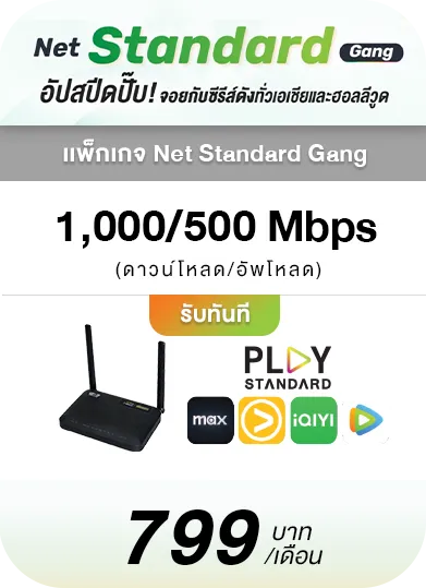 โปรโมชั่นลูกค้าใหม่ Net Standard Gang ราคาคุ้มค่า พร้อมรับชมคอนเท้นต์ครบ