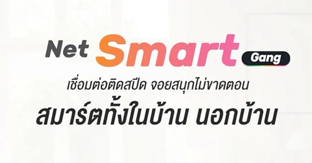 net smart gang