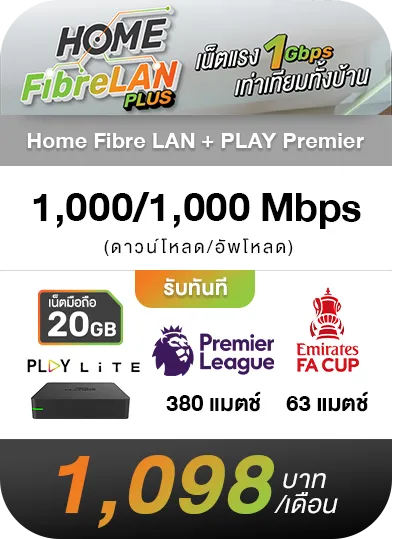 Home Fibre Lan 2 Room + PLAY Premier